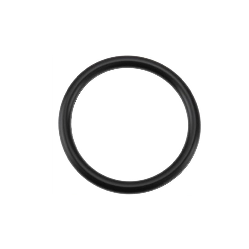 1 szt. 55582541 Pierścień uszc – Tank O-Ring Seal recenzja i cena
